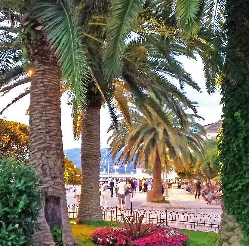 Affittacamere ꕥ Sunce, Family Choice, Panoramic View, Island Brac